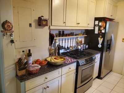 Downtown Historic district at Cascades Park, Best location