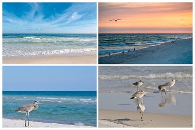 Spectacular Beach View | Beautiful Gulf Front Luxury Condo | My Beach Getaways