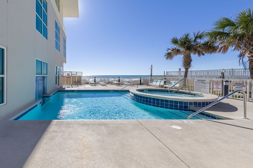 A swimming pool with a hot tub, a view of the ocean, and a palm tree.