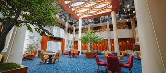 Celine Home Al Malqa