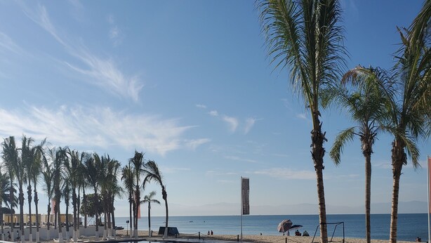 A poolside view with a clear sky, palm trees, and a beach in the background.