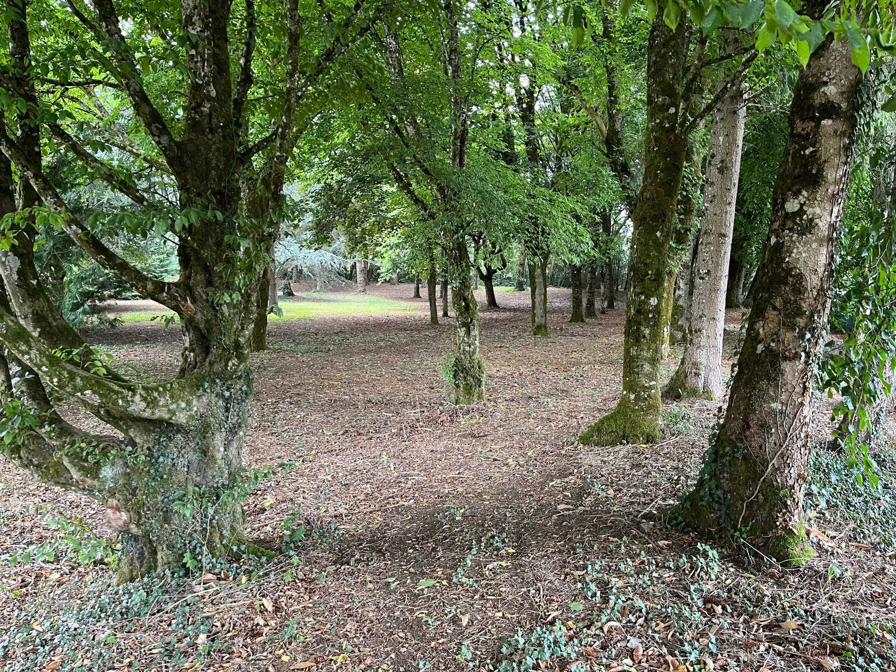 Áreas de la propiedad