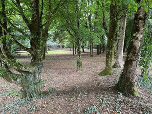 Property grounds - Homerez - House in Liffol-le-Grand (Liffol-le-Grand)