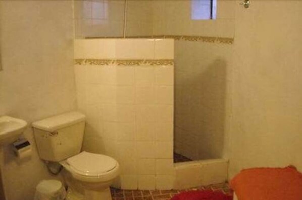 A bathroom with a toilet, a bidet, and a shower stall.
