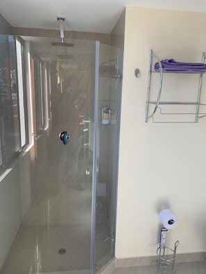 Shower, hair dryer, towels