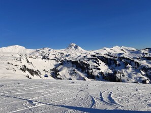 Unclassified image, 3 of 51, button