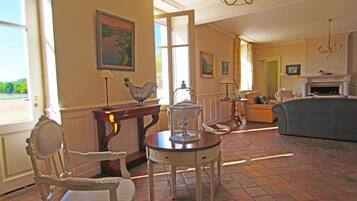 Télévision, cheminée, jeux vidéo, vidéothèque