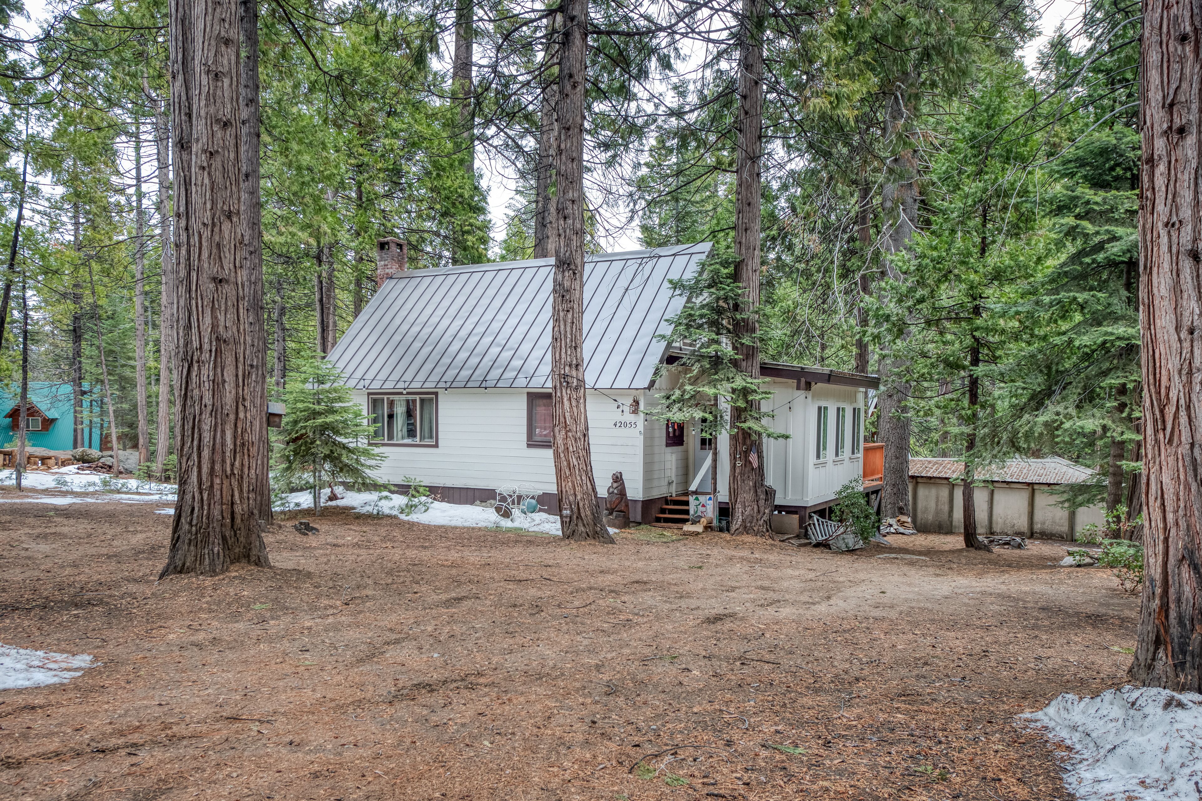 Dog-friendly cabin in forested setting w/ large deck - walk to village