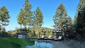 Piscina con sillas de descanso y sombrillas, rodeada de árboles altos.