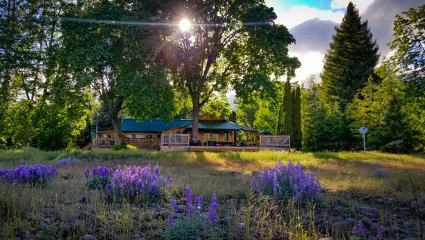 A lodge with a green roof, surrounded by a natural landscape with tall trees and purple flowers. - HISTORIC RUSHING WATER LODGE on the rogue river was built in 1910 (Eagle Point)