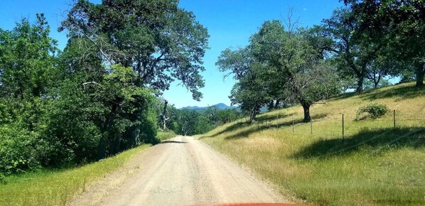 A dirt road flanked by trees and a fence, leading towards distant mountains.