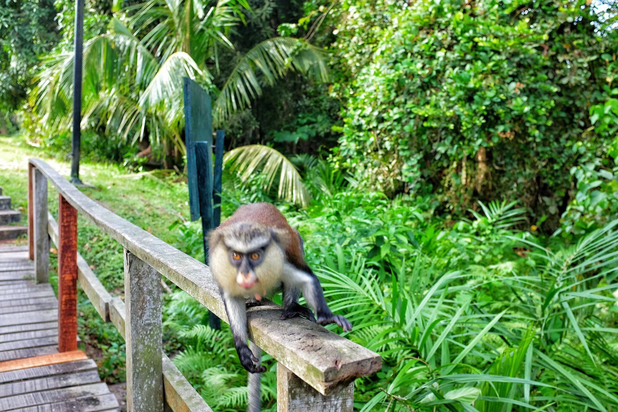 Área da propriedade