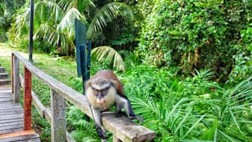 Área da propriedade