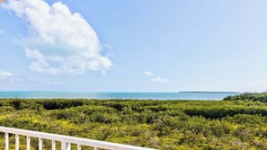 Property grounds - Perfect Location+Beautiful Ocean Views+Pool & Bar (Tavernier)