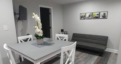 Stylish Newly renovated ** Private Aptarment** 1BR