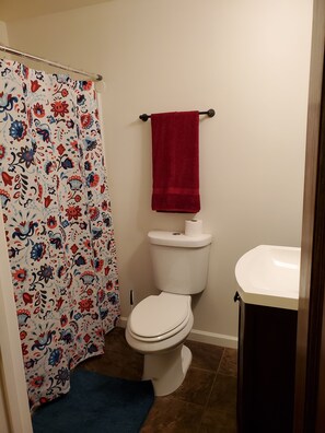 Combined shower/bathtub, hair dryer, towels, toilet paper