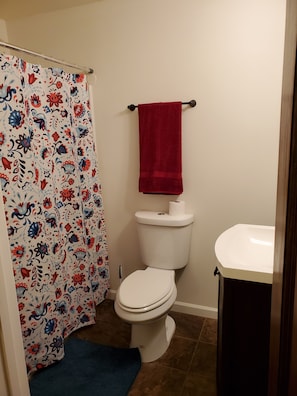 Combined shower/bathtub, hair dryer, towels, toilet paper