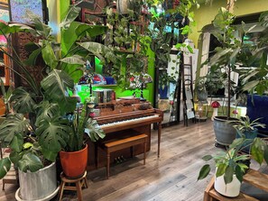 Canopy Queen | Living area