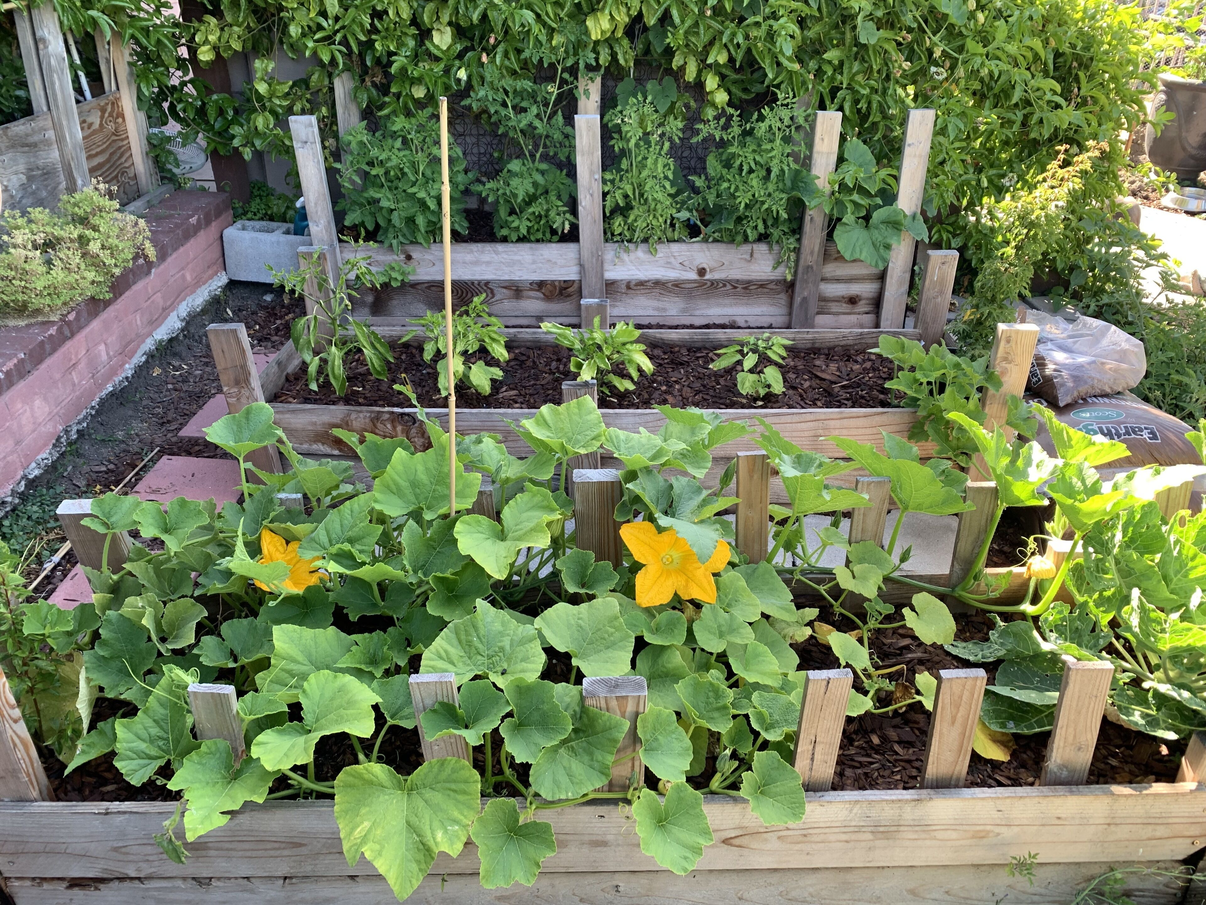 A garden with raised beds and wooden posts.