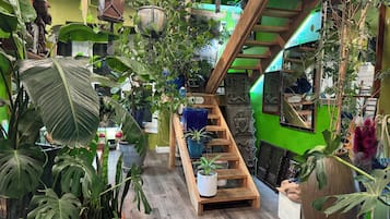 Canopy Queen | Living area