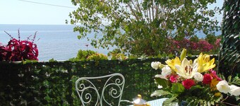  nedsänkt i ett outforskat landskap och oförstörd natur