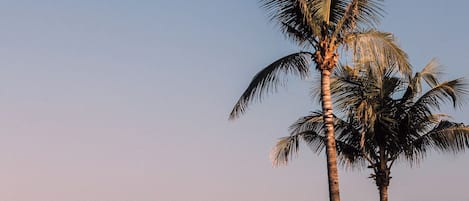 2 piscines extérieures, cabanas gratuites, parasols