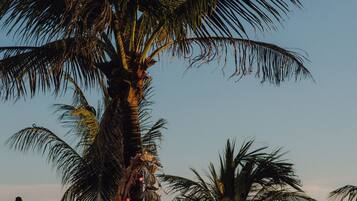 Beach bar