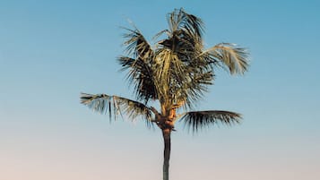 2 piscinas al aire libre, camas de piscina gratis, sombrillas