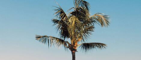 2 piscines extérieures, cabanas gratuites, parasols