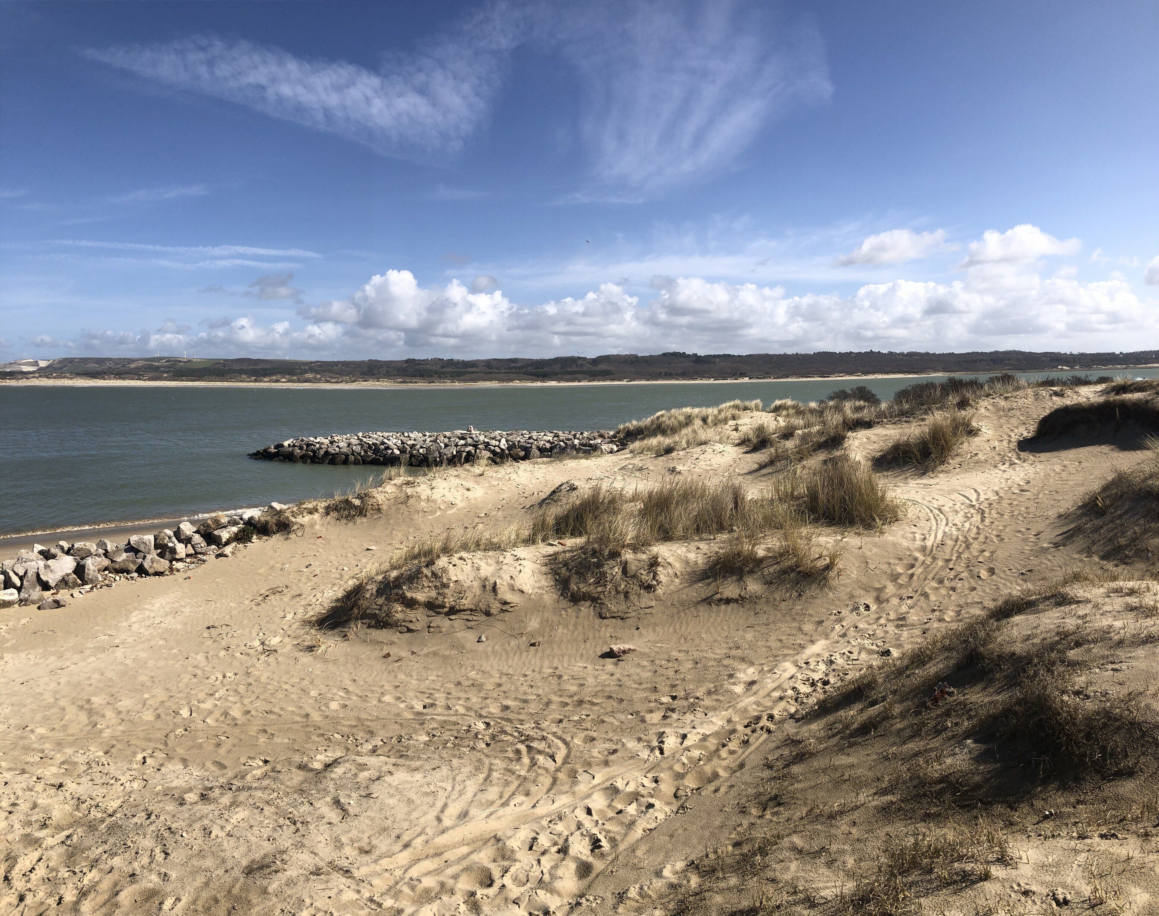 A la platja i gandules de platja 