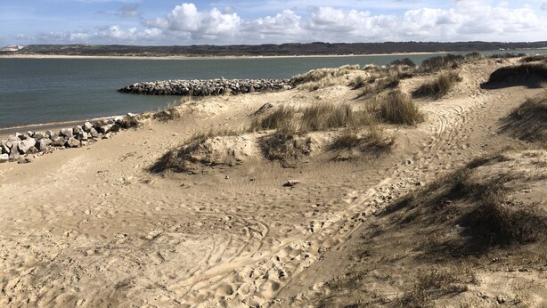 A sandy beach with a rocky breakwater and a calm sea. - Les Oyats: Nature, sea, family relaxation, recharging point (Camiers)
