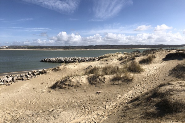 Plage, chaises longues