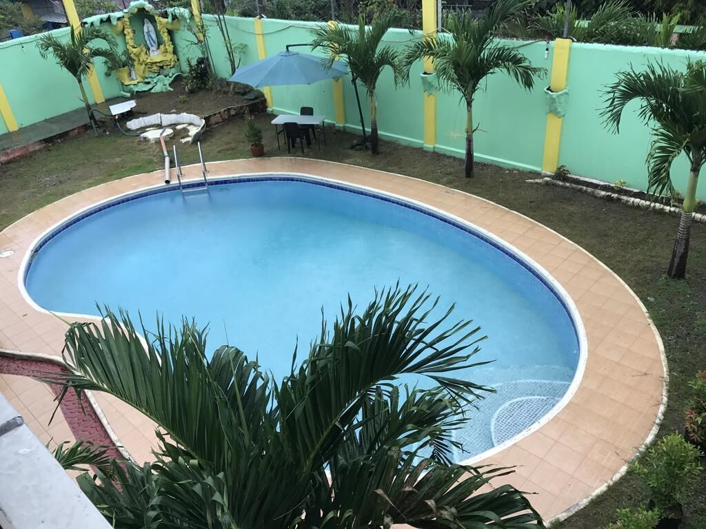 A swimming pool with a tiled edge, surrounded by a green wall and palm trees.