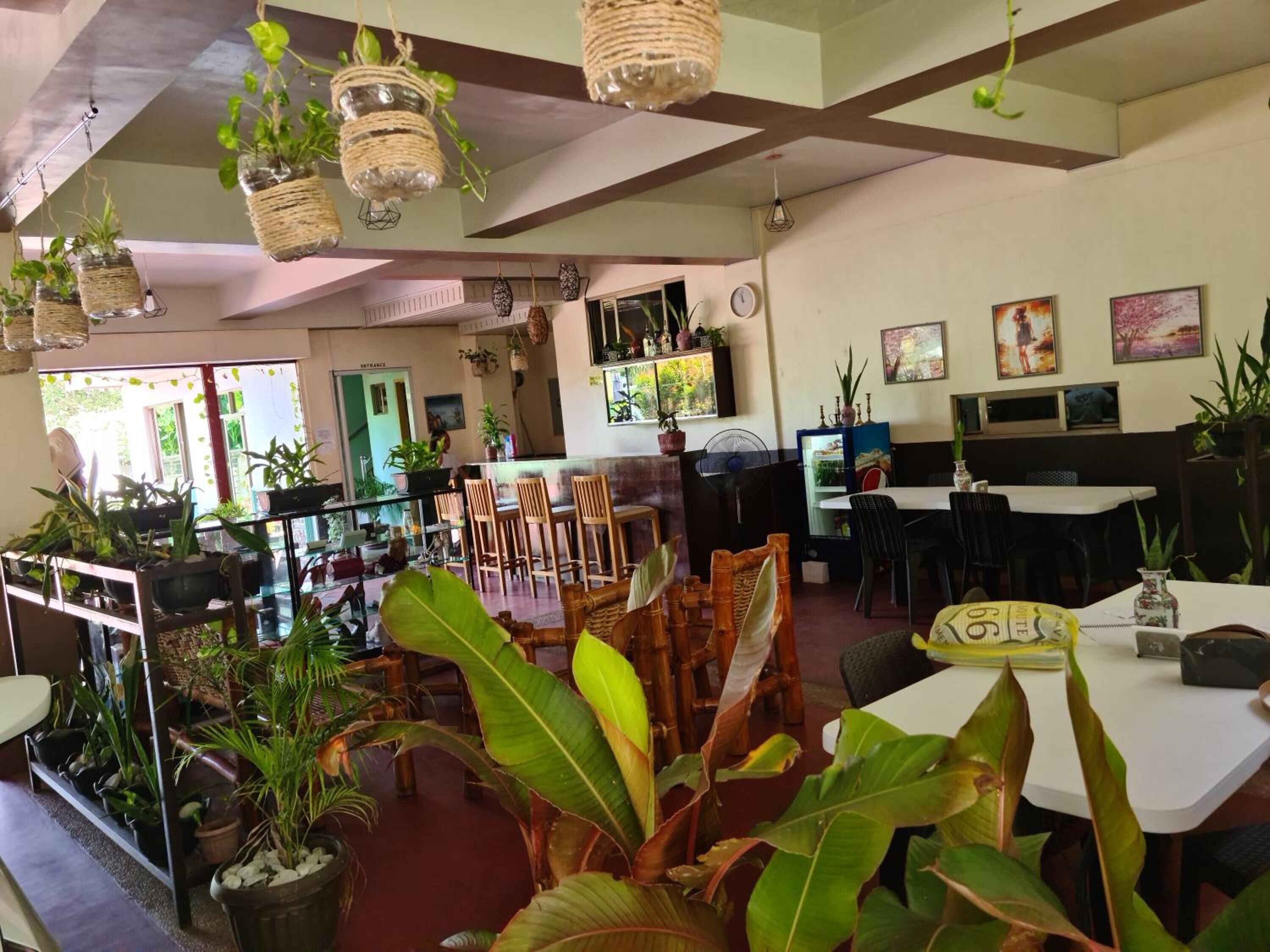 A restaurant with multiple tables and chairs, surrounded by various potted plants.