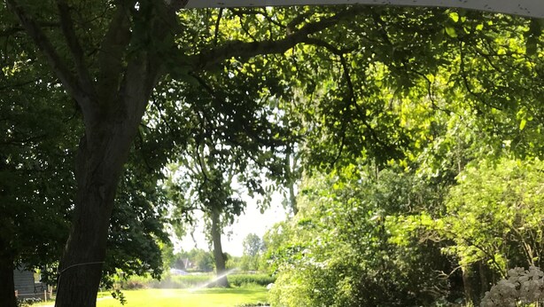 Un coin pique-nique avec une assiette de fromage, du pain et un pot de miel, le tout disposé sur une table en bois, avec vue sur une rivière et une végétation luxuriante.