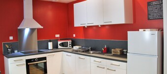 Magnificent apartment - Le loft Henri IV- facing the Château Henri IV