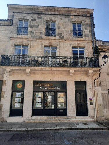 Magnificent apartment - Le loft Henri IV- facing the Château Henri IV