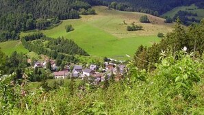 Ein kleines Dorf mit zusammengedrängten Häusern, umgeben von grünen Feldern und bewaldeten Hügeln.