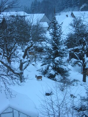 Terrain de l’hébergement 
