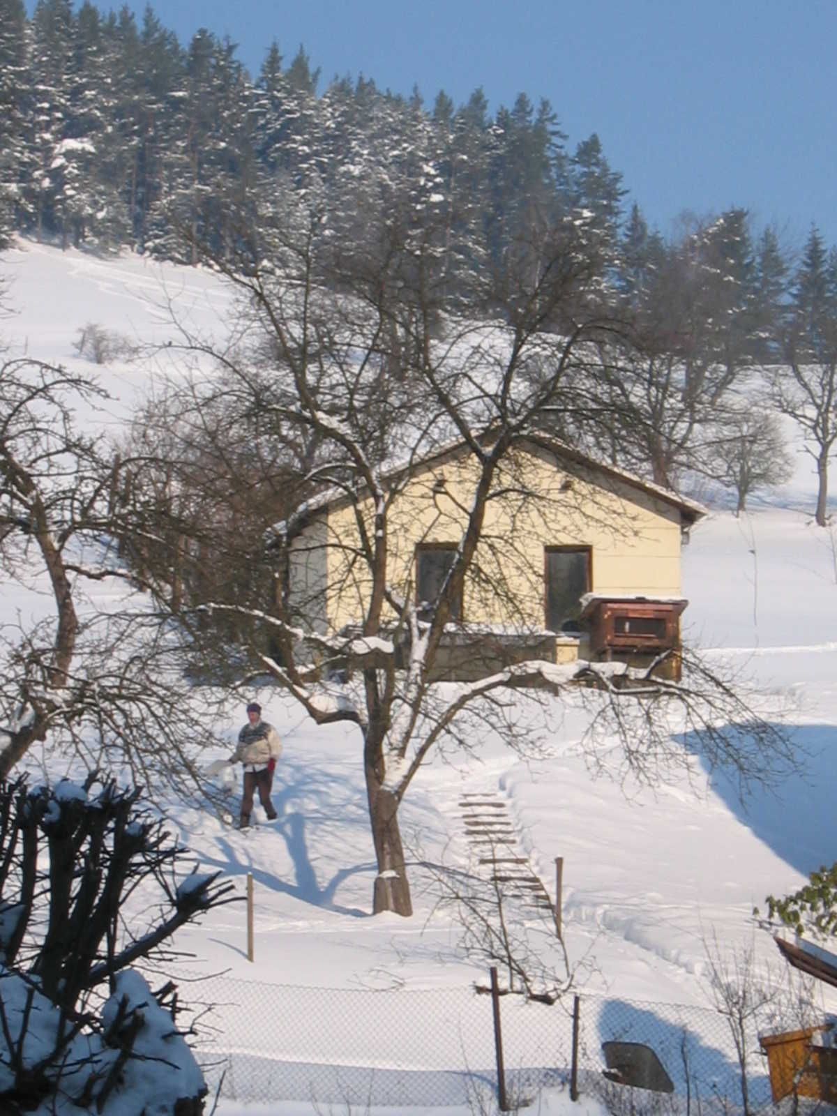 Un paysage enneigé avec un petit bâtiment, une personne debout devant, et un arbre au premier plan.