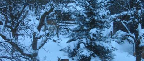 A snowy landscape with a house and trees.