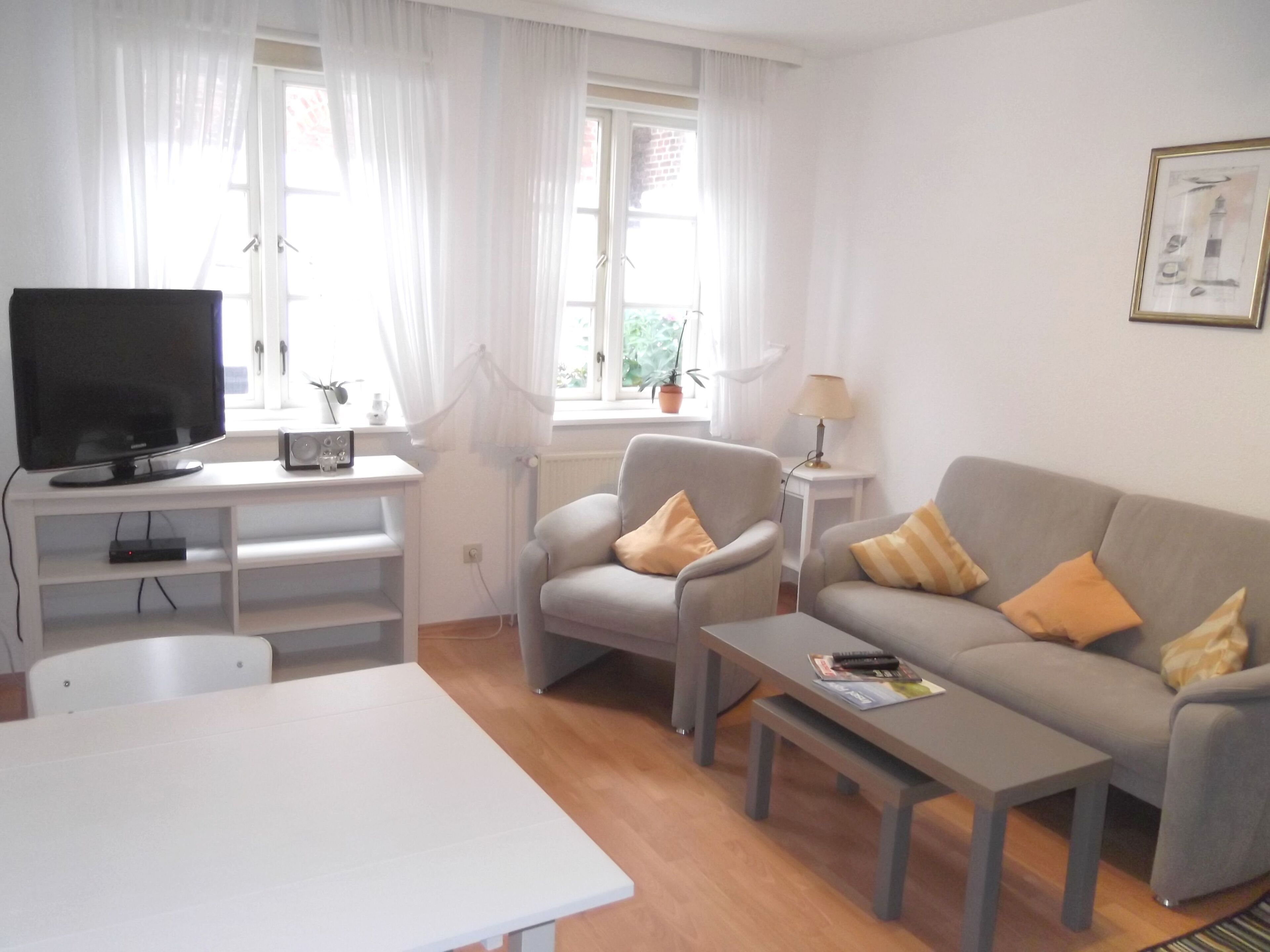 Una televisión, un reproductor de DVD