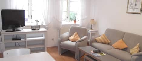 Una televisión, un reproductor de DVD