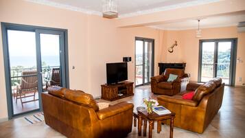 TV, fireplace, DVD player, books