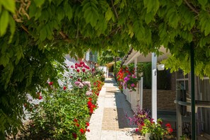 Jardín