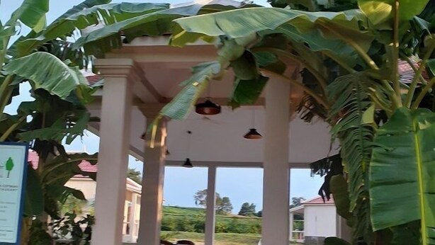 A covered entrance with a tiled pathway leading to a seating area, surrounded by large banana plants and potted plants. - Koh Ker Hotel & Restaurant (Kuleaen)