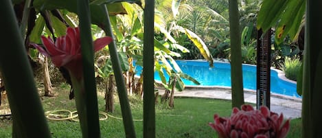 Piscine extérieure