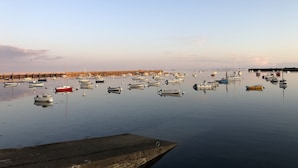 A marina with multiple boats docked at calm water.
