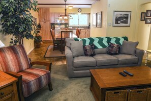 TV, fireplace, DVD player, video library