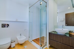 Shower, hair dryer, towels